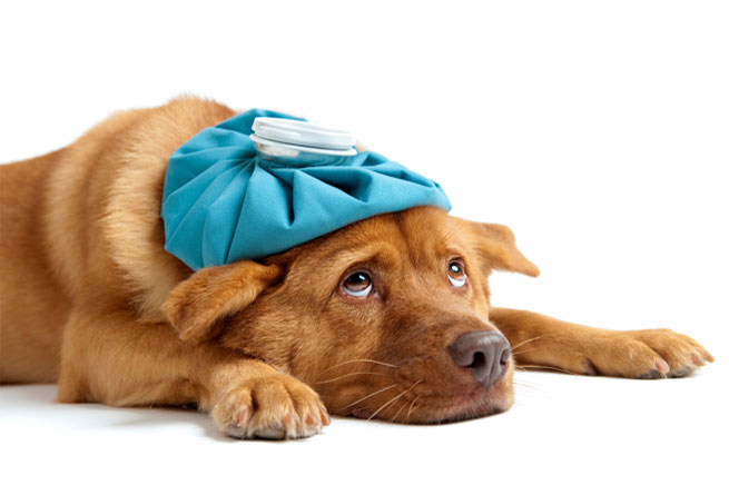 https://humandetox.hu/wp-content/uploads/2017/01/istockphoto_10681321_655x436.jpg