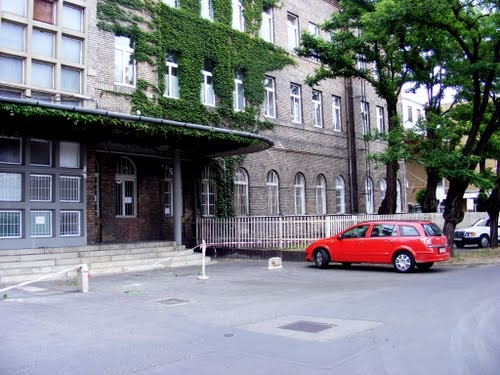 https://humandetox.hu/wp-content/uploads/2017/06/jahn-f-csepel.jpg